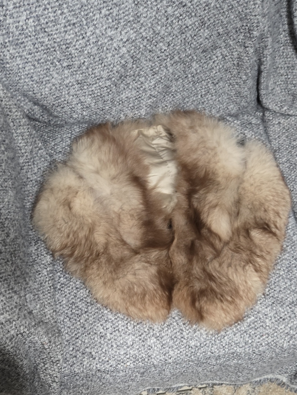 Plush Brown Fur Collar Wrap - Women Accessories